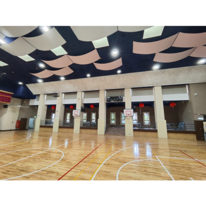 臺北市士林區天母國民小學|活動中心綜合球場暨演藝廳整修工程 臺北市士林區天母國民小學|活動中心綜合球場暨演藝廳整修工程