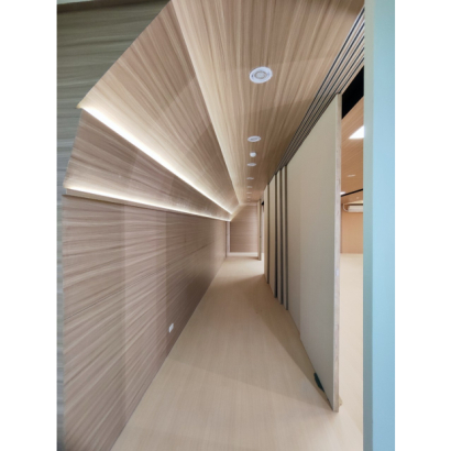 臺北市士林區天母國民小學|活動中心綜合球場暨演藝廳整修工程 臺北市士林區天母國民小學|活動中心綜合球場暨演藝廳整修工程